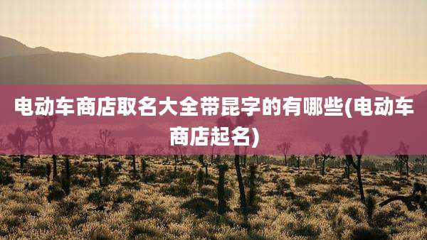 电动车商店取名大全带昆字的有哪些(电动车商店起名)
