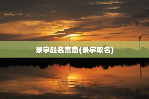 录字起名寓意(录字取名)