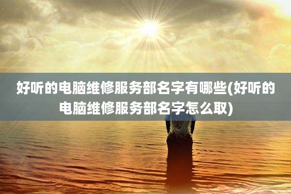 好听的电脑维修服务部名字有哪些(好听的电脑维修服务部名字怎么取)