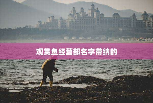 观赏鱼经营部名字带纳的