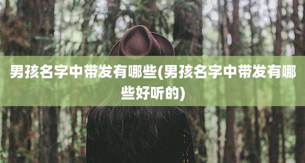 男孩名字中带发有哪些(男孩名字中带发有哪些好听的)