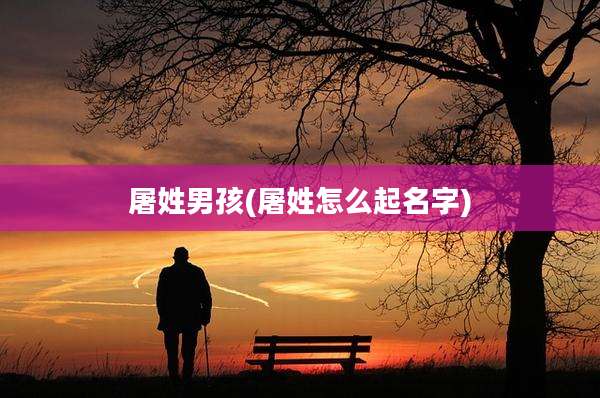 屠姓男孩(屠姓怎么起名字)