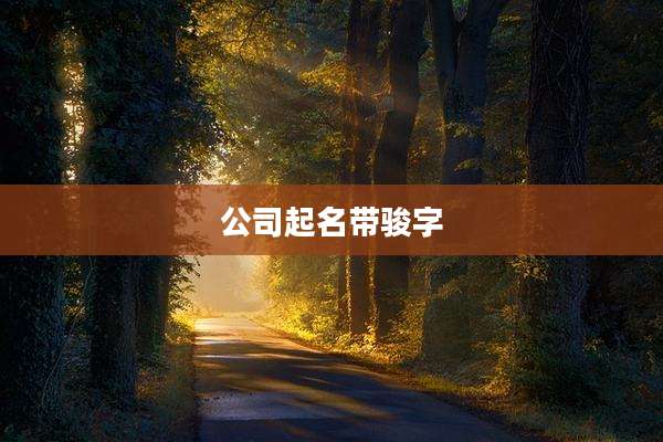 公司起名带骏字