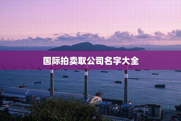 国际拍卖取公司名字大全