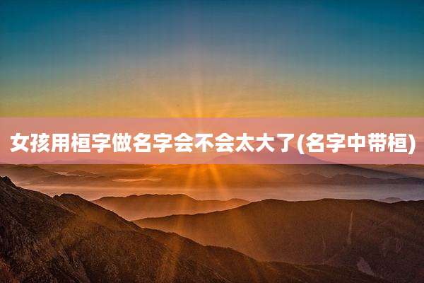 女孩用桓字做名字会不会太大了(名字中带桓)
