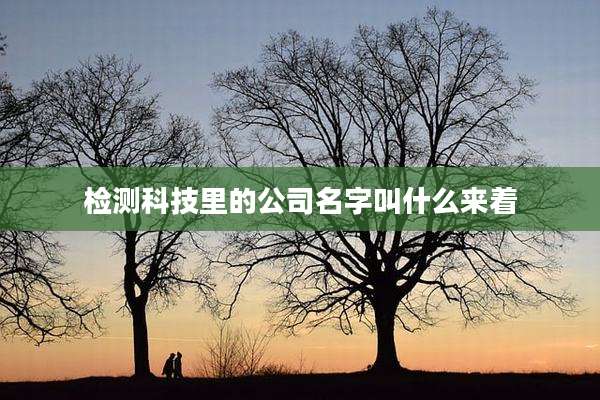 检测科技里的公司名字叫什么来着