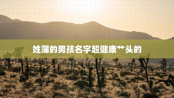姓蒲的男孩名字超健康艹头的