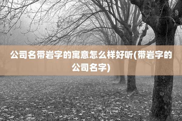 公司名带岩字的寓意怎么样好听(带岩字的公司名字)