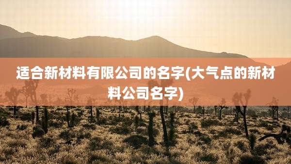 适合新材料有限公司的名字(大气点的新材料公司名字)