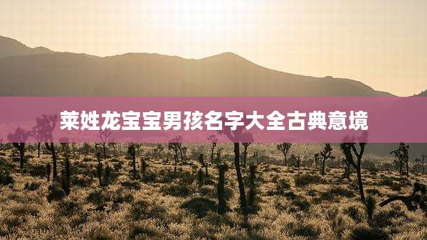 莱姓龙宝宝男孩名字大全古典意境