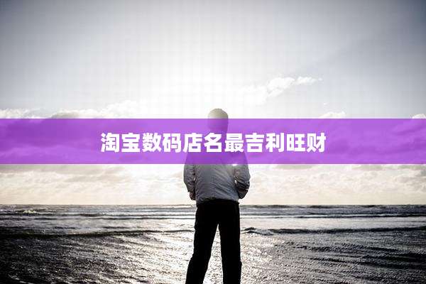 淘宝数码店名最吉利旺财
