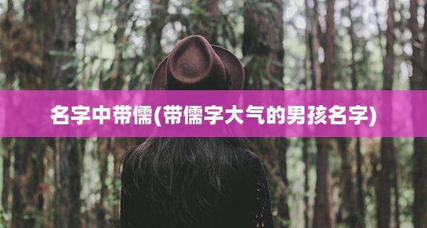 名字中带儒(带儒字大气的男孩名字)