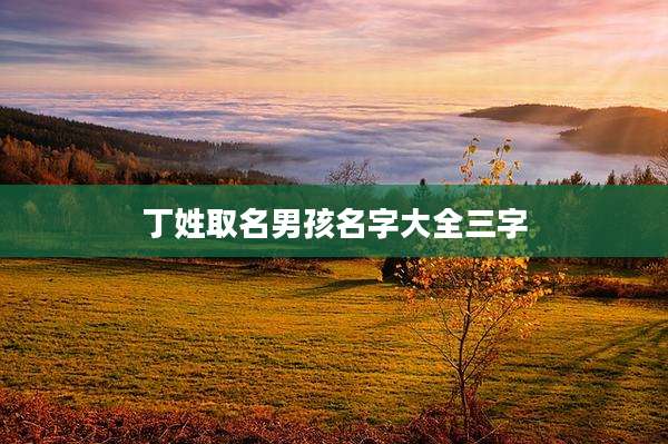 丁姓取名男孩名字大全三字