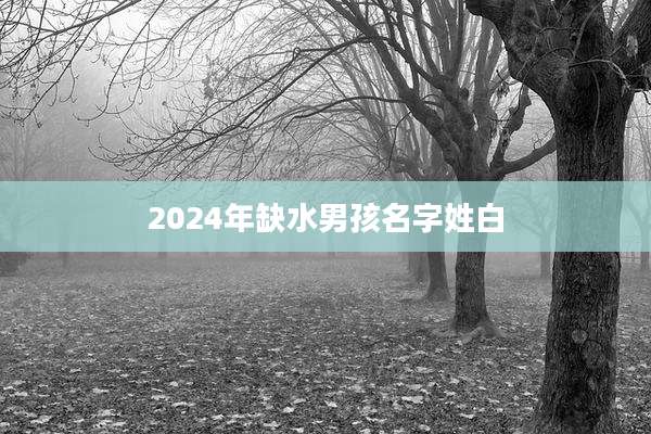 2024年缺水男孩名字姓白