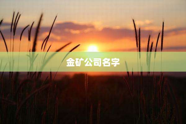 金矿公司名字