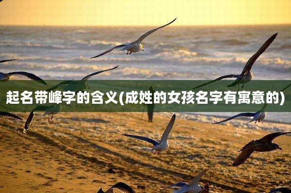 起名带峰字的含义(成姓的女孩名字有寓意的)