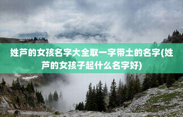 姓芦的女孩名字大全取一字带土的名字(姓芦的女孩子起什么名字好)