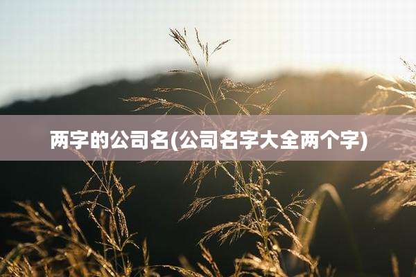 两字的公司名(公司名字大全两个字)