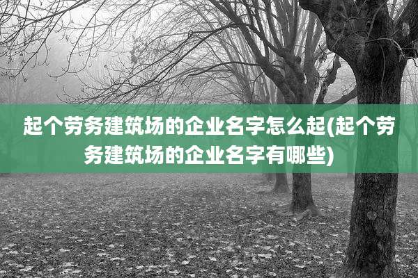 起个劳务建筑场的企业名字怎么起(起个劳务建筑场的企业名字有哪些)