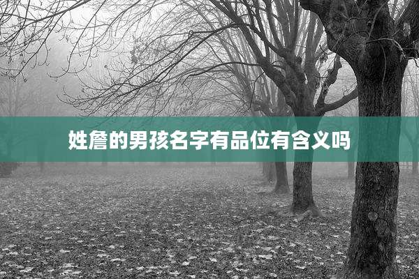 姓詹的男孩名字有品位有含义吗