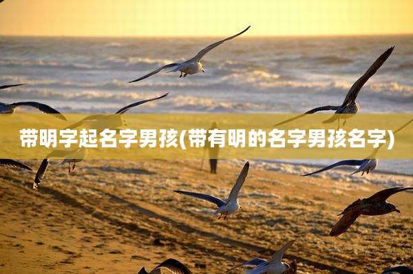 带明字起名字男孩(带有明的名字男孩名字)