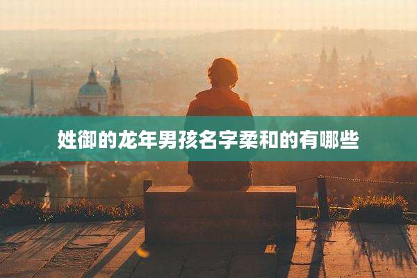 姓御的龙年男孩名字柔和的有哪些