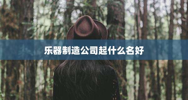 乐器制造公司起什么名好