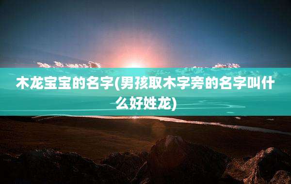 木龙宝宝的名字(男孩取木字旁的名字叫什么好姓龙)