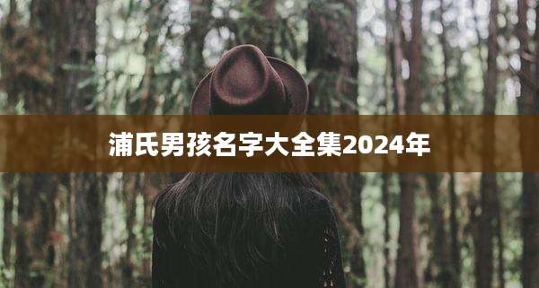 浦氏男孩名字大全集2024年