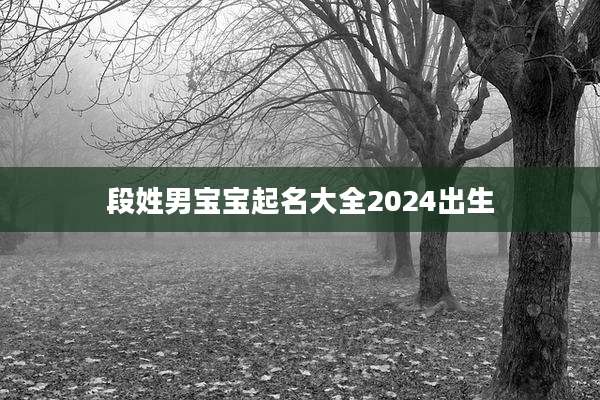 段姓男宝宝起名大全2024出生
