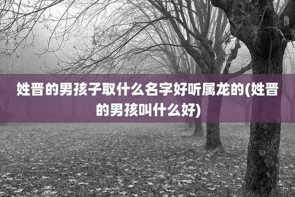 姓晋的男孩子取什么名字好听属龙的(姓晋的男孩叫什么好)