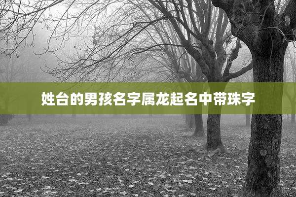姓台的男孩名字属龙起名中带珠字