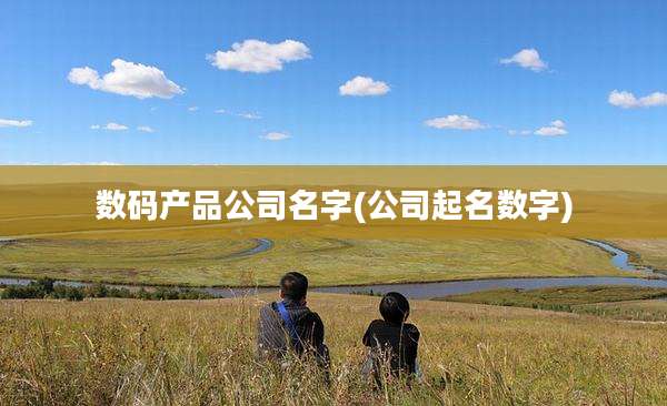 数码产品公司名字(公司起名数字)