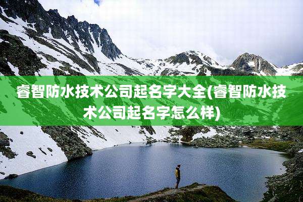 睿智防水技术公司起名字大全(睿智防水技术公司起名字怎么样)