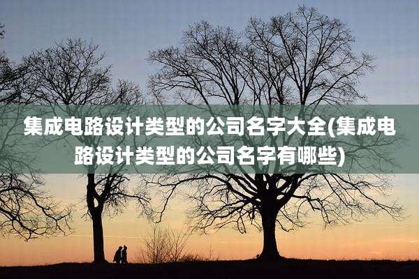 集成电路设计类型的公司名字大全(集成电路设计类型的公司名字有哪些)