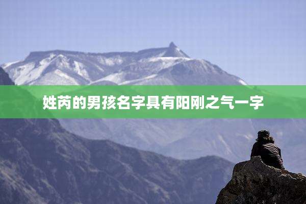 姓芮的男孩名字具有阳刚之气一字
