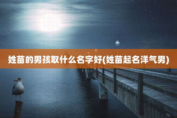 姓苗的男孩取什么名字好(姓苗起名洋气男)