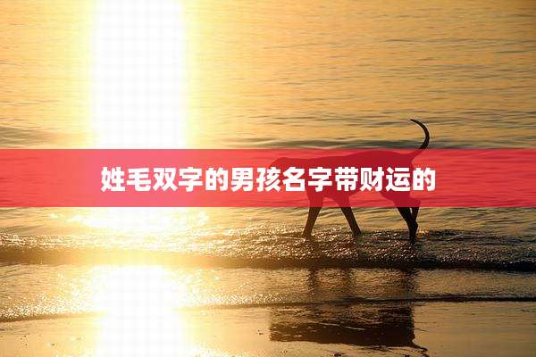 姓毛双字的男孩名字带财运的