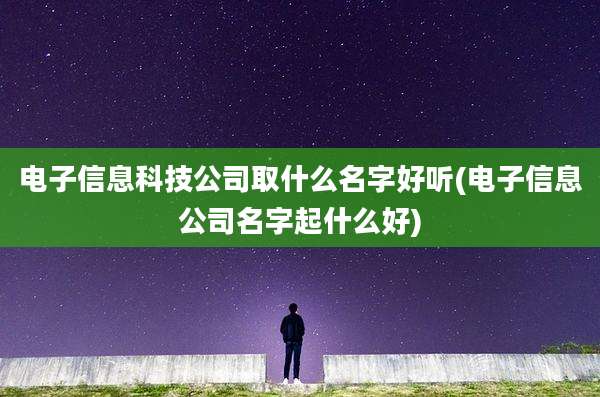 电子信息科技公司取什么名字好听(电子信息公司名字起什么好)