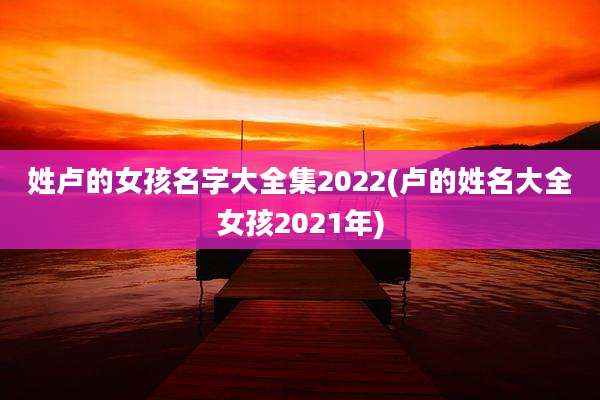 姓卢的女孩名字大全集2022(卢的姓名大全女孩2021年)