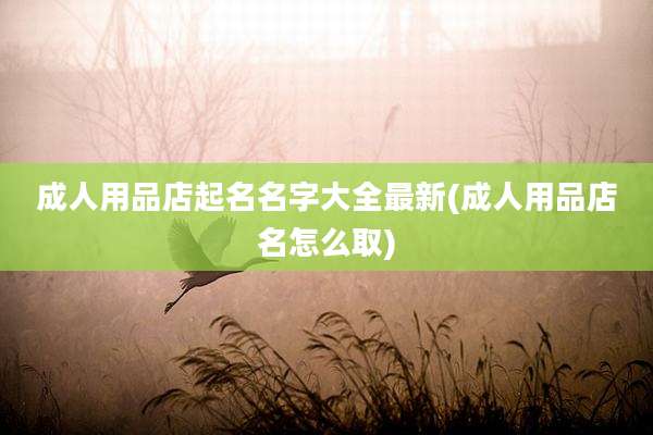 成人用品店起名名字大全最新(成人用品店名怎么取)