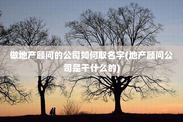 做地产顾问的公司如何取名字(地产顾问公司是干什么的)