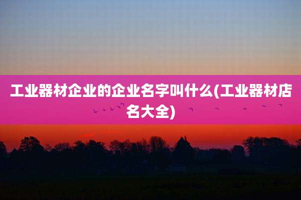 工业器材企业的企业名字叫什么(工业器材店名大全)