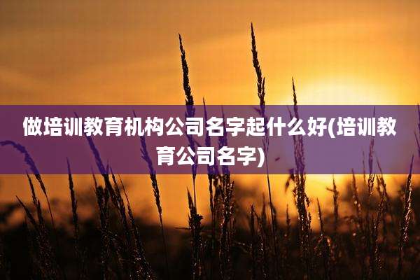 做培训教育机构公司名字起什么好(培训教育公司名字)