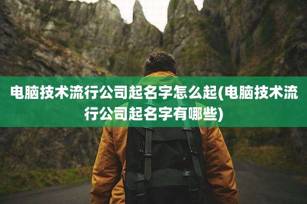 电脑技术流行公司起名字怎么起(电脑技术流行公司起名字有哪些)