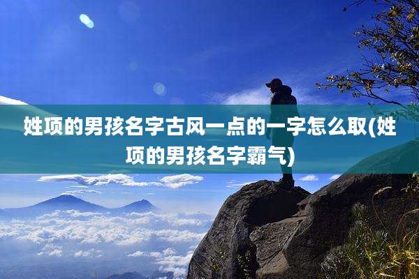 姓项的男孩名字古风一点的一字怎么取(姓项的男孩名字霸气)