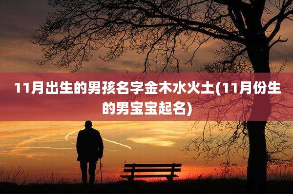 11月出生的男孩名字金木水火土(11月份生的男宝宝起名)