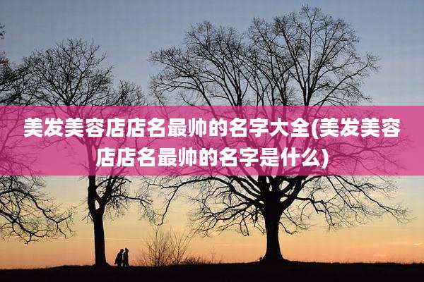 美发美容店店名最帅的名字大全(美发美容店店名最帅的名字是什么)