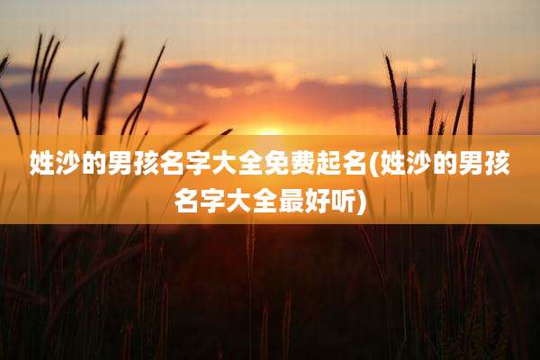姓沙的男孩名字大全免费起名(姓沙的男孩名字大全最好听)