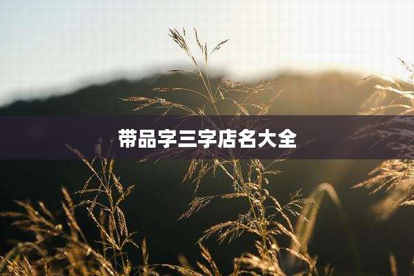 带品字三字店名大全